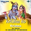 About Krishna Ho Krishna Song